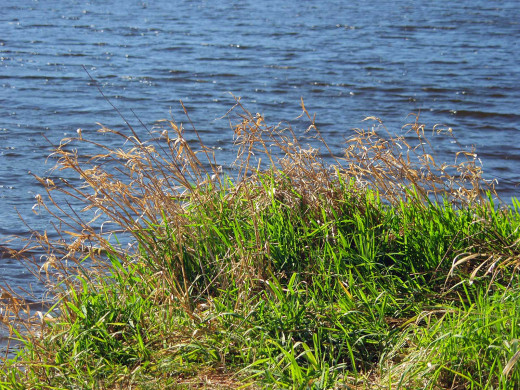 40839 (a): :1600x1200